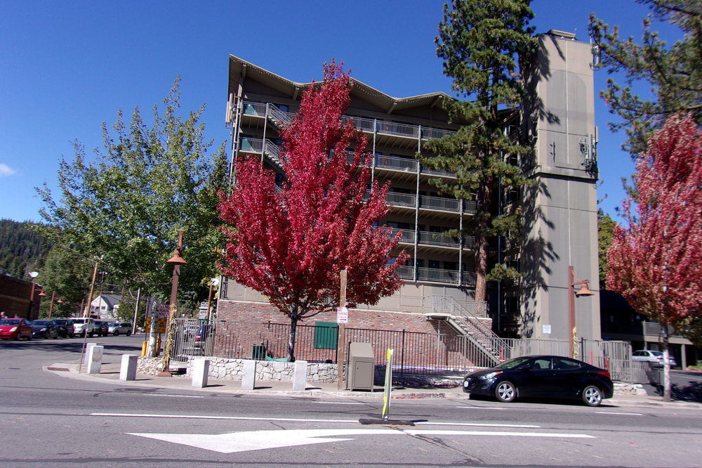 Pepper Tree Inn Tahoe City Exterior photo